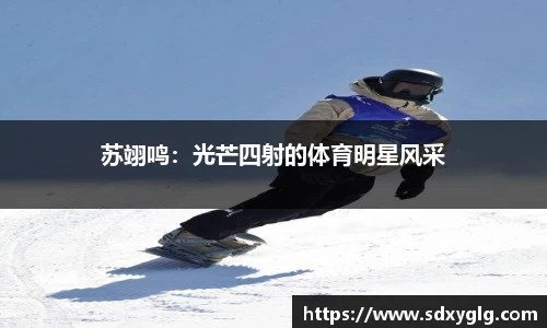 yy体育