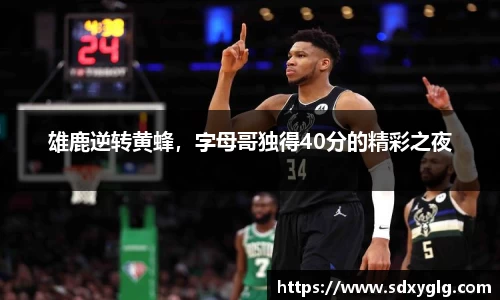 yy易游