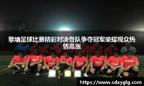 黎塘足球比赛精彩对决各队争夺冠军荣耀观众热情高涨