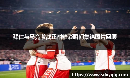 yy易游体育