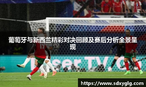 葡萄牙与新西兰精彩对决回顾及赛后分析全景呈现