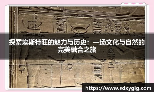 易游体育
