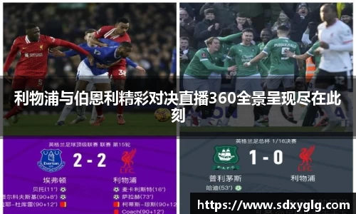 yy易游