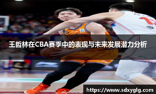 王哲林在CBA赛季中的表现与未来发展潜力分析