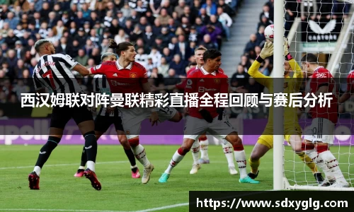 yy易游体育