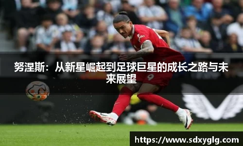 yy体育