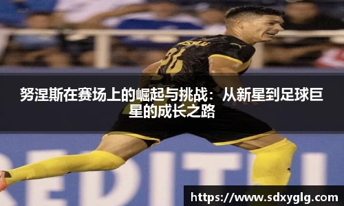 努涅斯在赛场上的崛起与挑战：从新星到足球巨星的成长之路