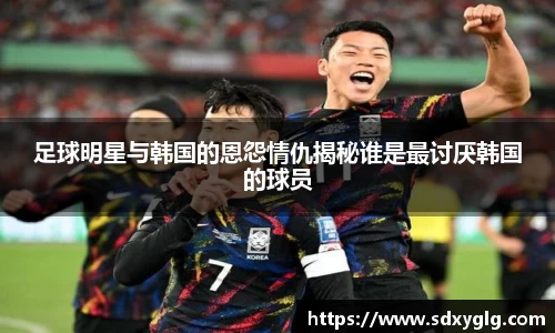 足球明星与韩国的恩怨情仇揭秘谁是最讨厌韩国的球员