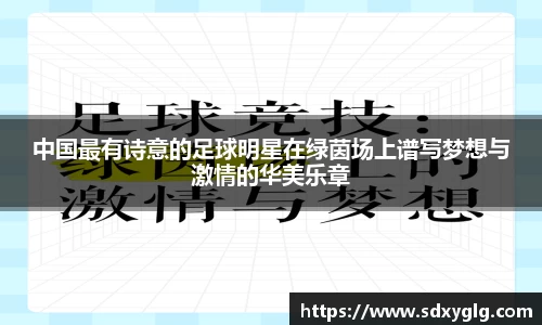 中国最有诗意的足球明星在绿茵场上谱写梦想与激情的华美乐章