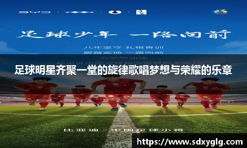 足球明星齐聚一堂的旋律歌唱梦想与荣耀的乐章